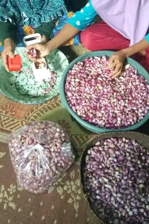 Tumbuh Bersama Petani 5